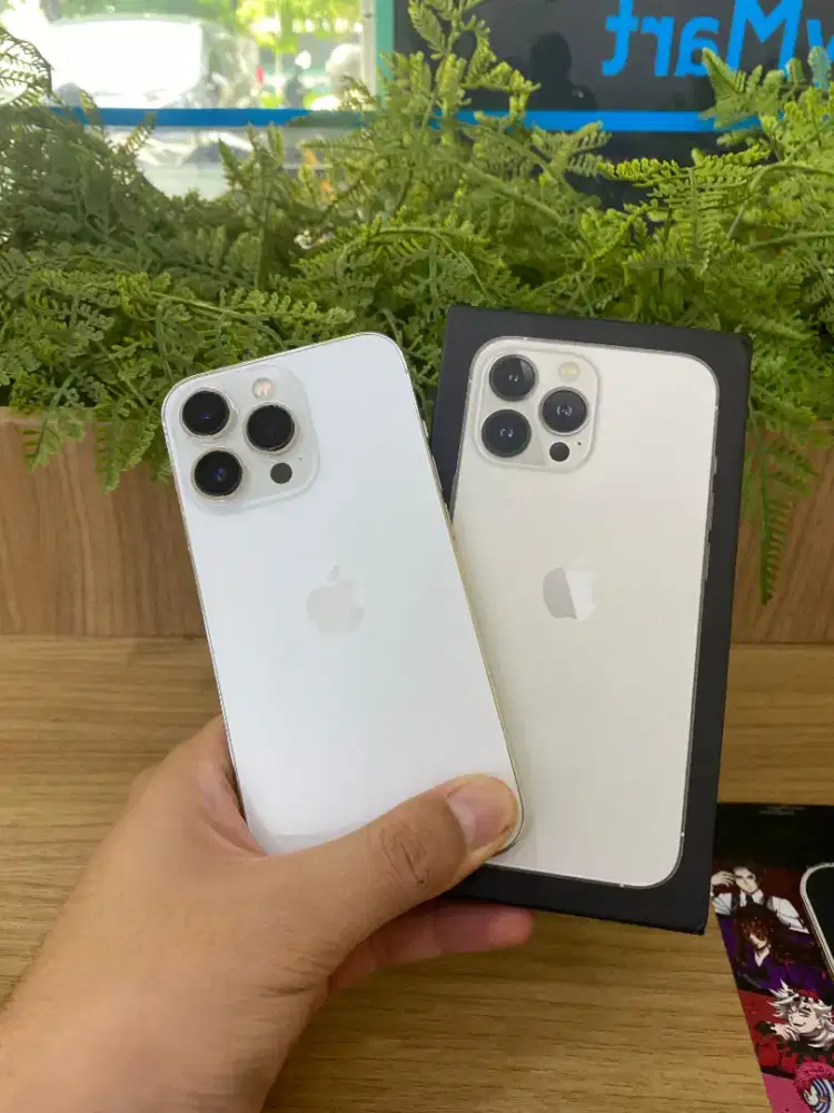 iPhone 13 PRO 256GB Silver Imei Resmi Beacukai (Permanen setara iBox)