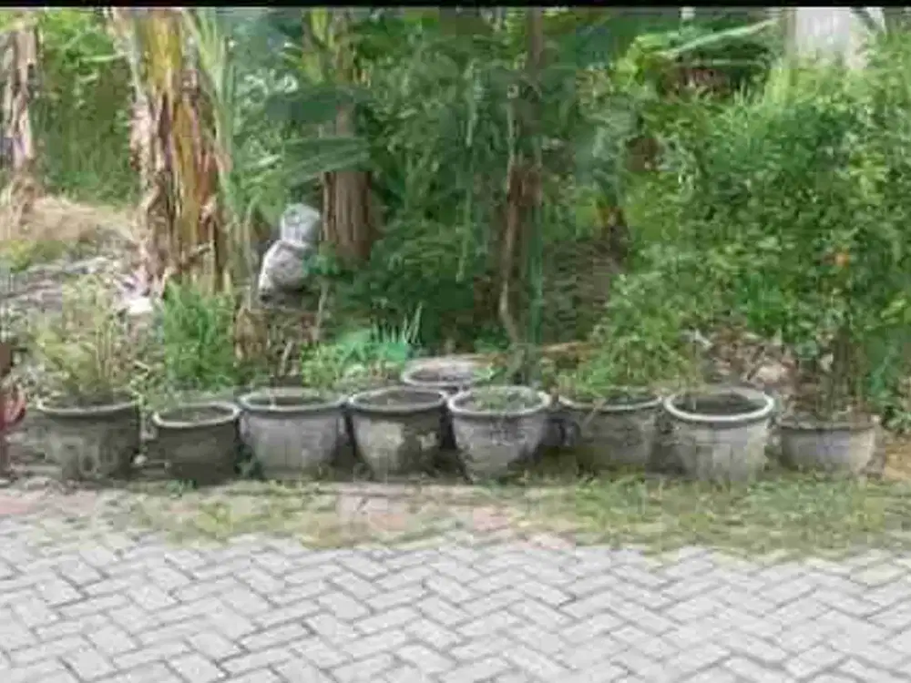 DIJUAL TANAH SIAP BANGUN DI PAKAL SURABAYA BARAT