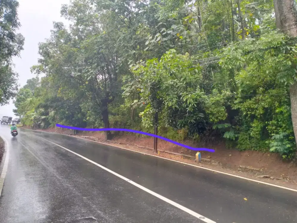 Bismilah jual tanah kebun.luas 4000m.lebar muka 130m.