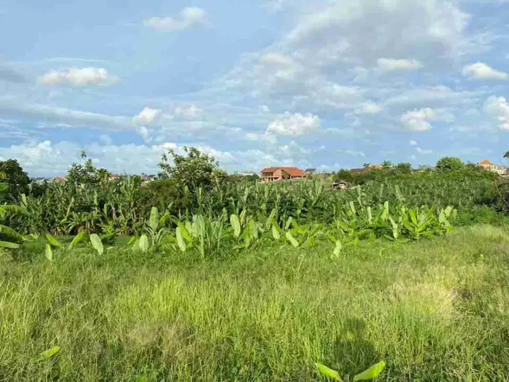 Disewakan Tanah Area Banjar Semer Kerobokan Kuta Utara Badung Bali