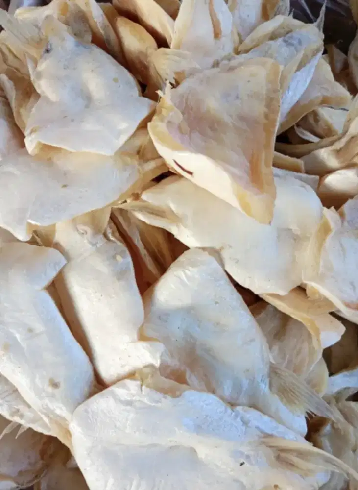 IKAN ASIN PATIN LEMAK PERUT /KG