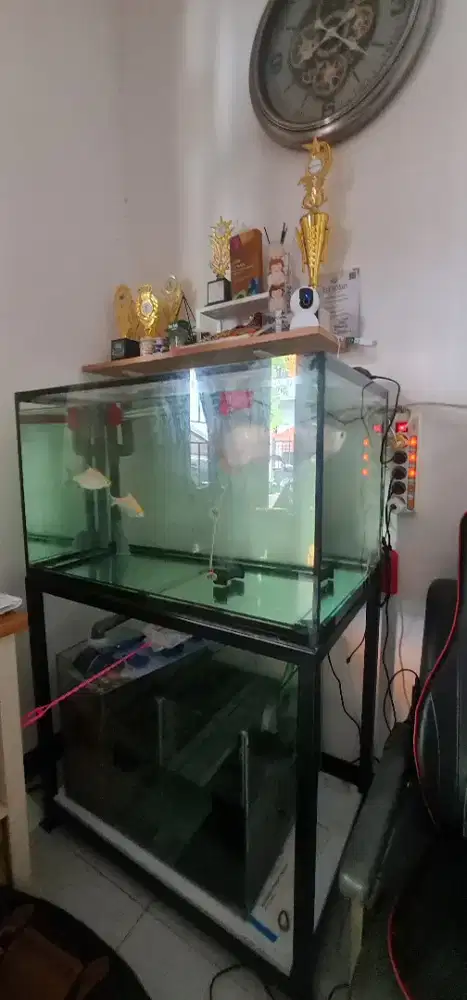 Jual akuarium ikan custom