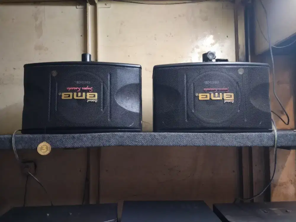 Speker karaoke bmb 10 inch