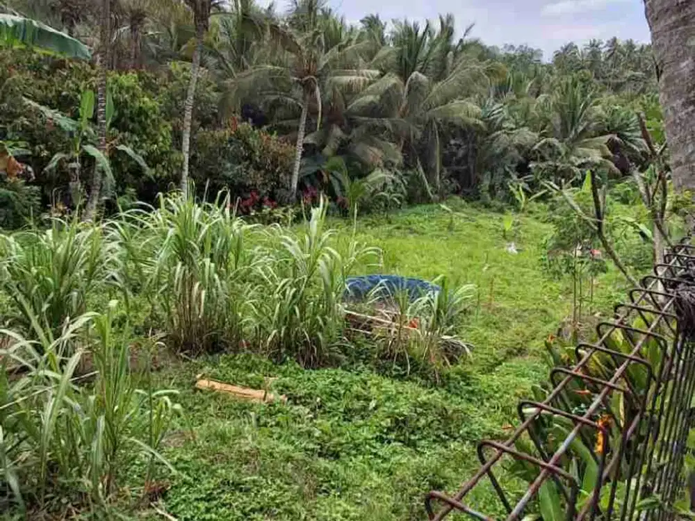 Dijual Tanah Strategis di Selemadeg