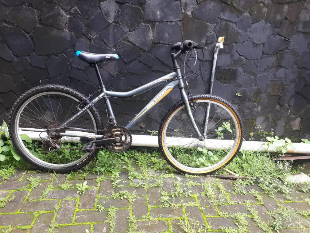 Sepeda anak polygon 24inc cyclone