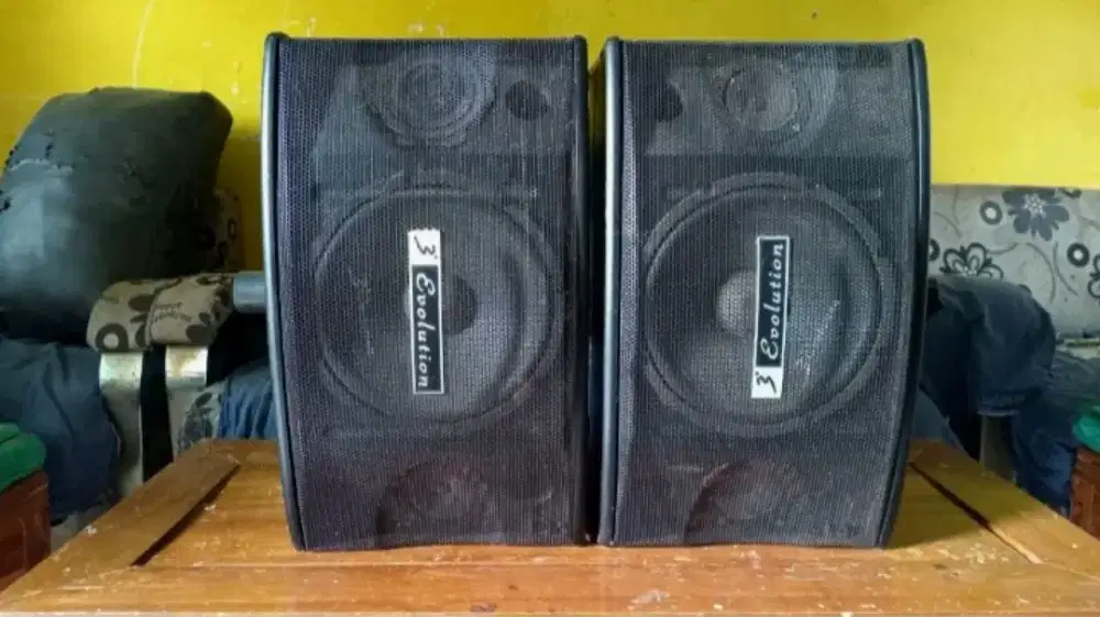 DIJUAL CEPAT... Speaker pasif karaoke 10 inch model BMB (Evolution)