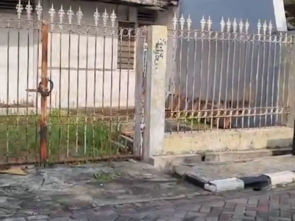 Rumah Hitung Tanah Darmo Indah Barat