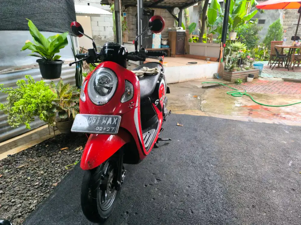 Honda Scoopy sporty 2022