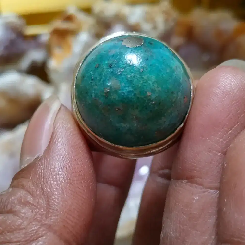 Pirus persia badar perak lawasan