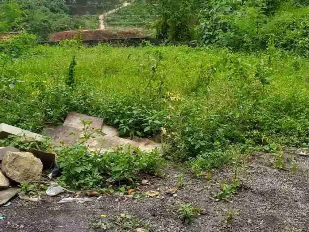 BUC  Tanah dijual murah perum Niravadhi Tabanan