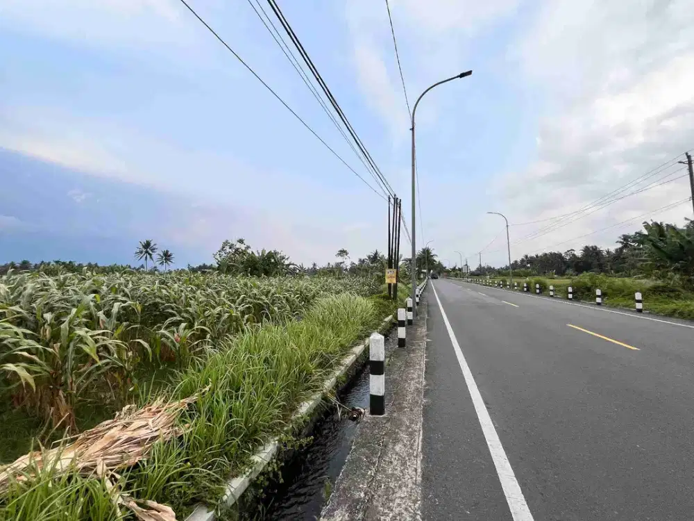 Dijual Tanah Daerah Mendut Magelang