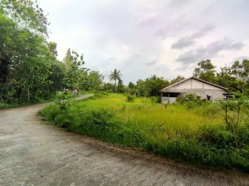 Tanah Strategis Jogja Balecatur Sleman Dekat RS PKU & UMY