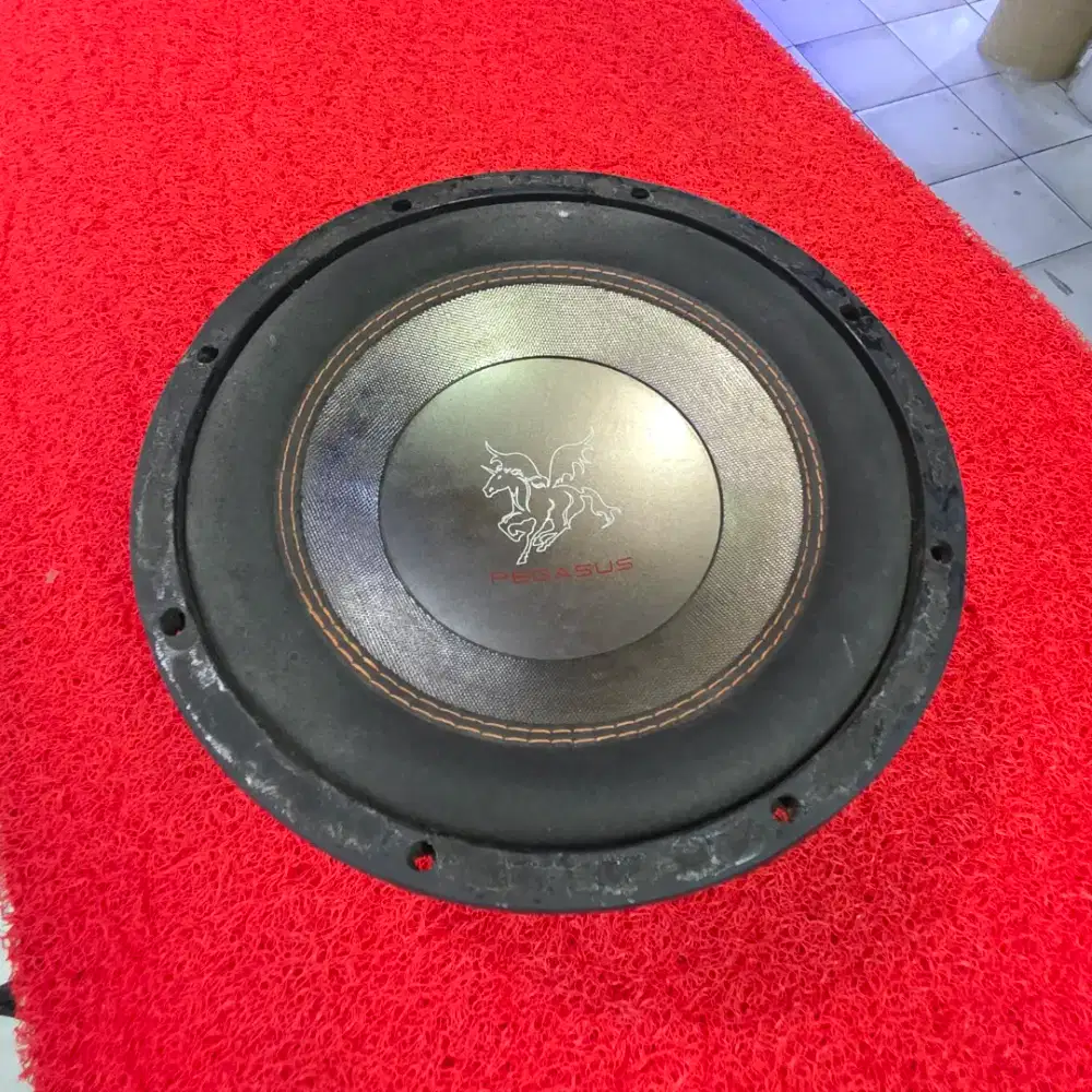 Subwoofer PEGASUS PG 1035 Subwoofer PEGASUS 10 in
