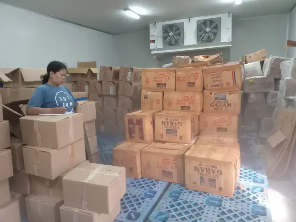 Daging Durian Beku Termurah