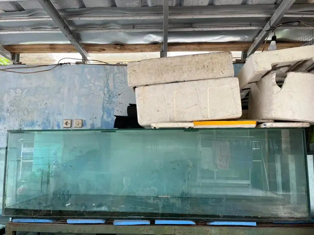 #aquariumbekas Aquarium Bekas Ukuran Besar