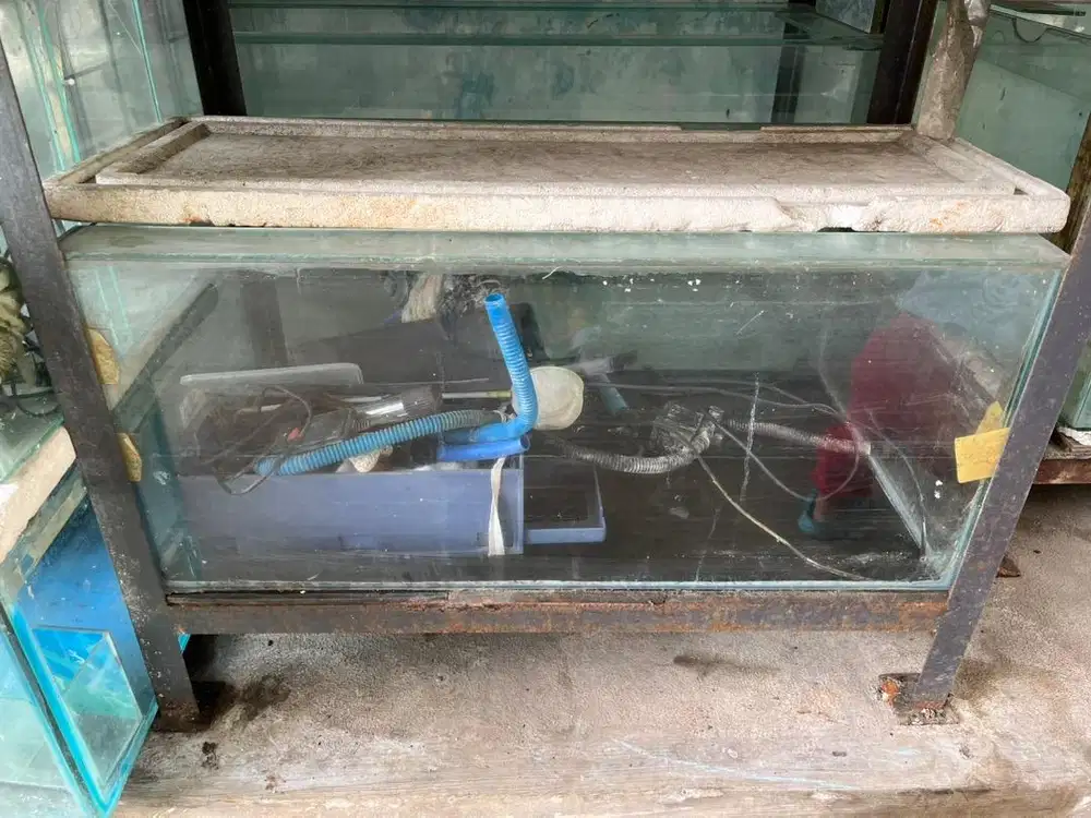 #prelovedaquarium Aquarium Bekas