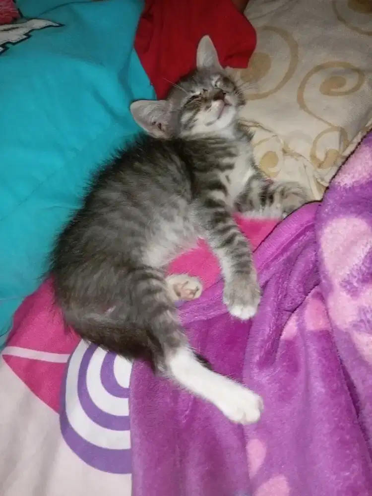 Kerja apa aja yg penting kerja