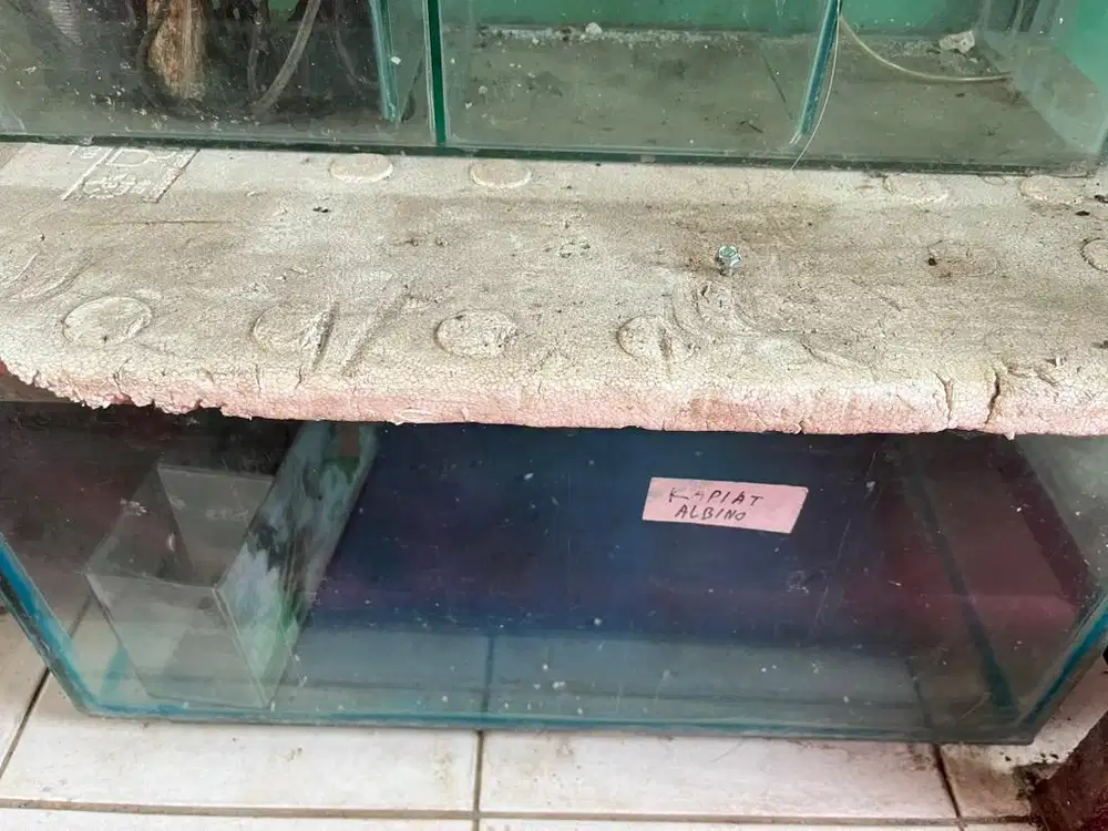 #prelovedaquarium Aquarium Bekas