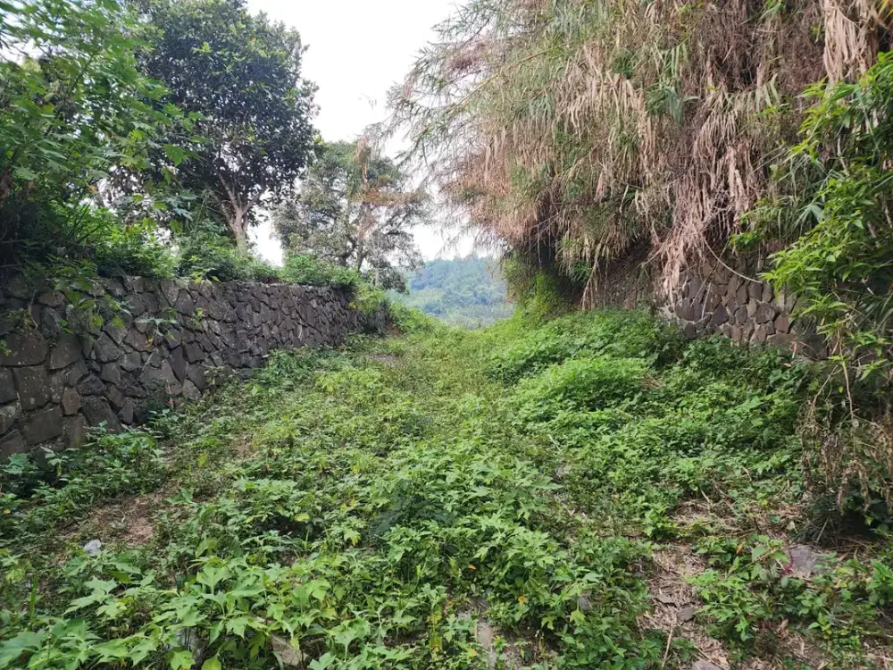 Tanah Hokie Posisi Mainroad di Jalan Raya Lembang
