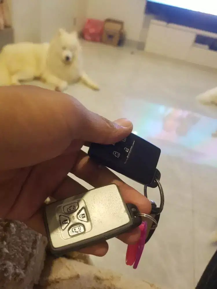 CARI MBA ART ,WAJIB NGINAP,UMUR WAJIB 30-35.