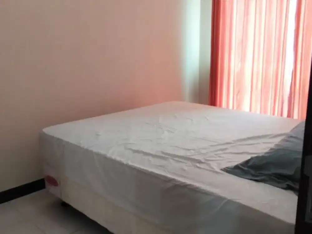 Apartemen Scientia Residence Gading Serpong 1 Bedroom Furnished View Pool