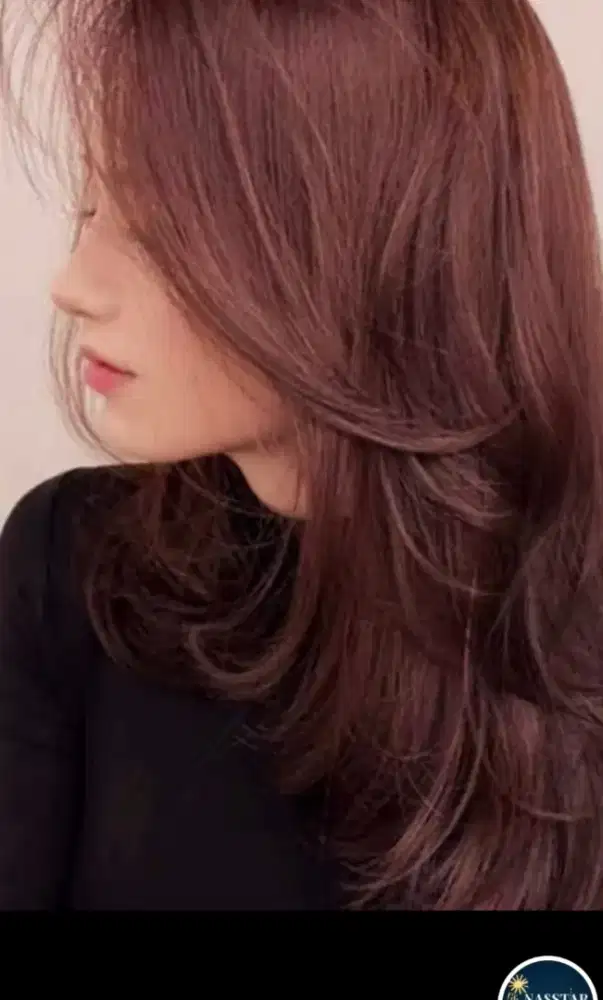 Lowongan kerja bantu2 rumah dan salon khusus wanita