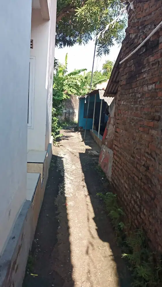 Tanah Luas Aman SHM Cocok Untuk Investasi