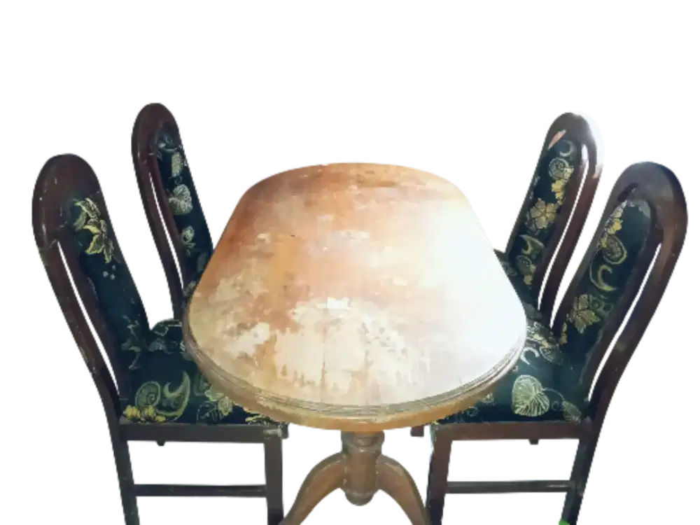 kursi tamu dan 1 set meja makan