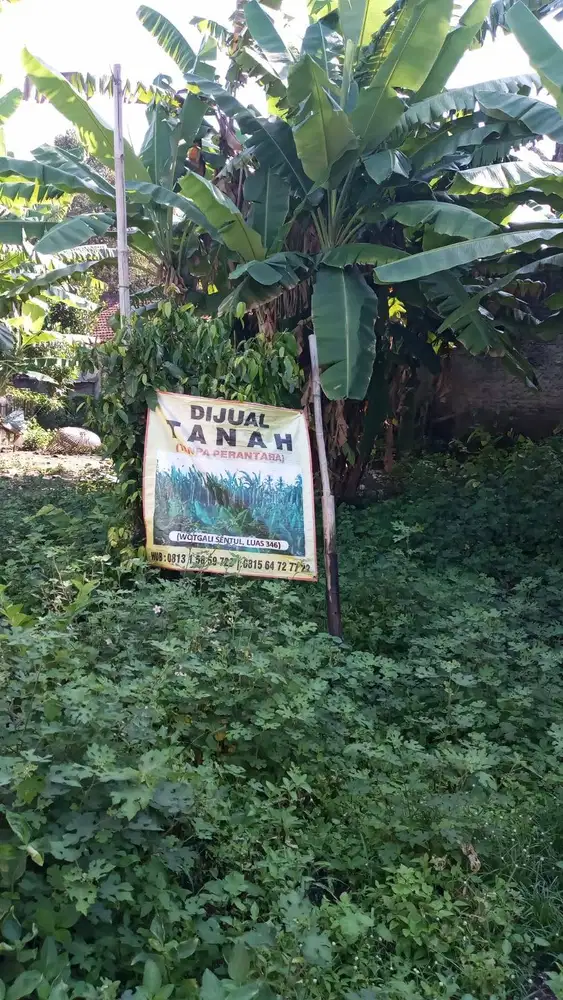 Tanah Murah Aman Produktif Cirebon