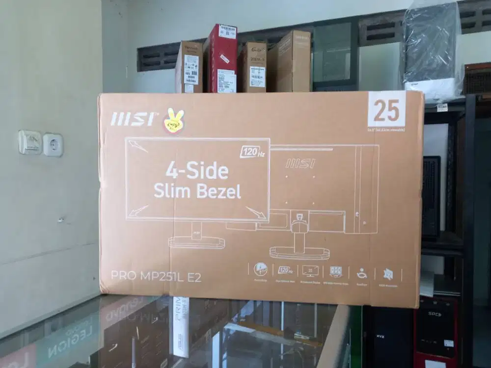 LED Monitor MSI Pro MP251L E2 FHD IPS 120Hz Frameless