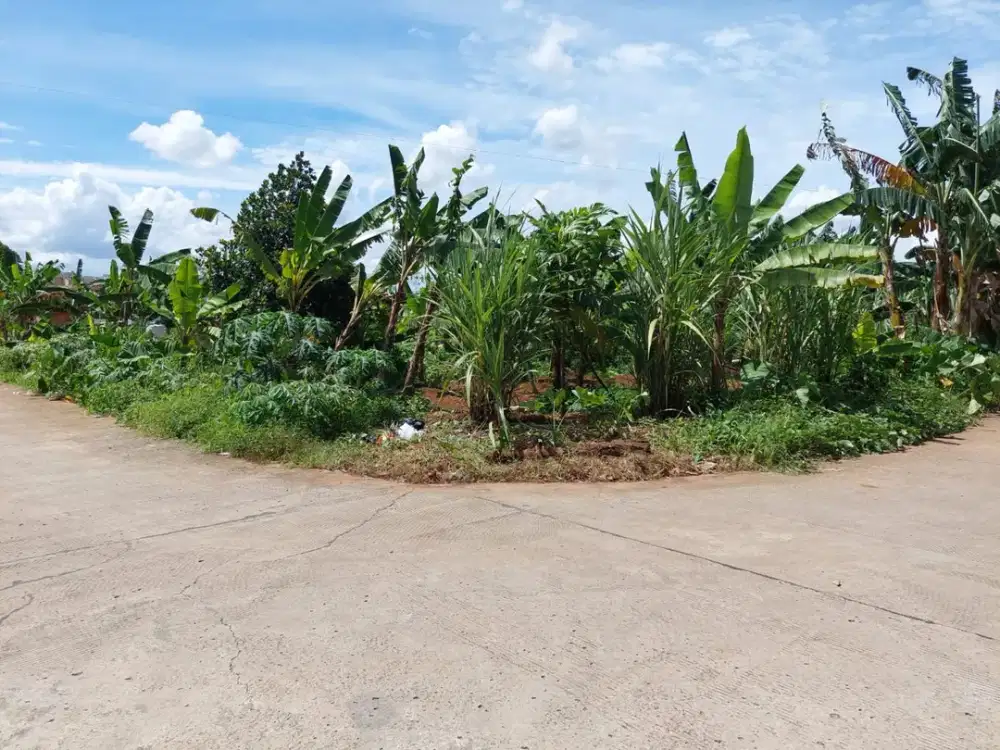 Dijual murah kavling tanah di Cisauk dekat Citra Garden Serpong