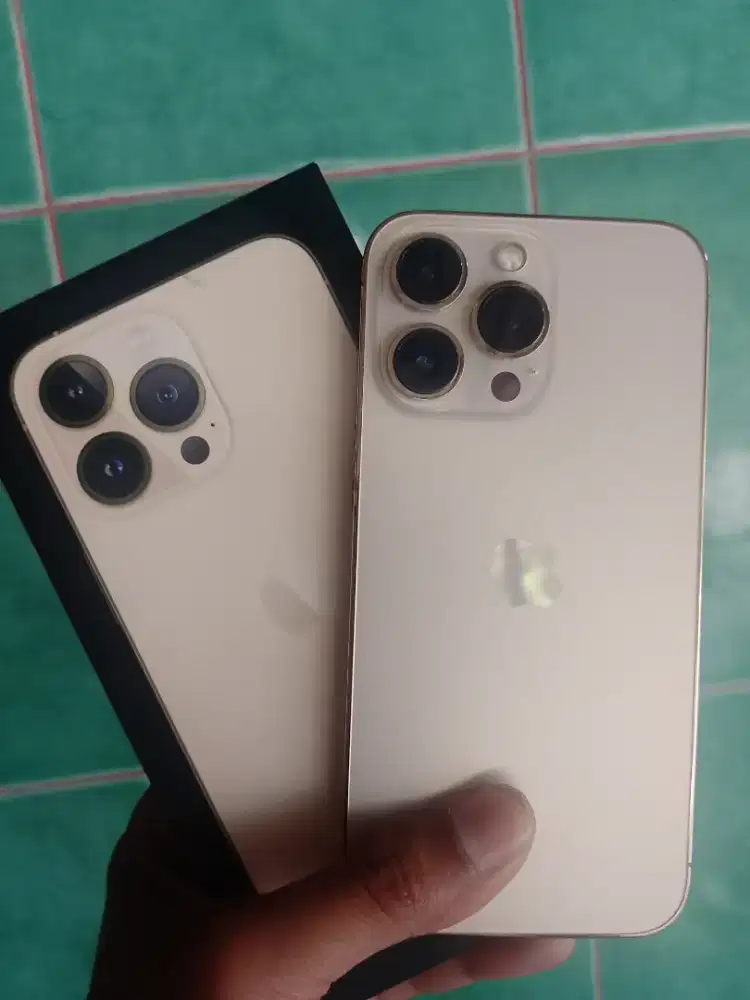 iPhone 13 pro 256gb iBox gold