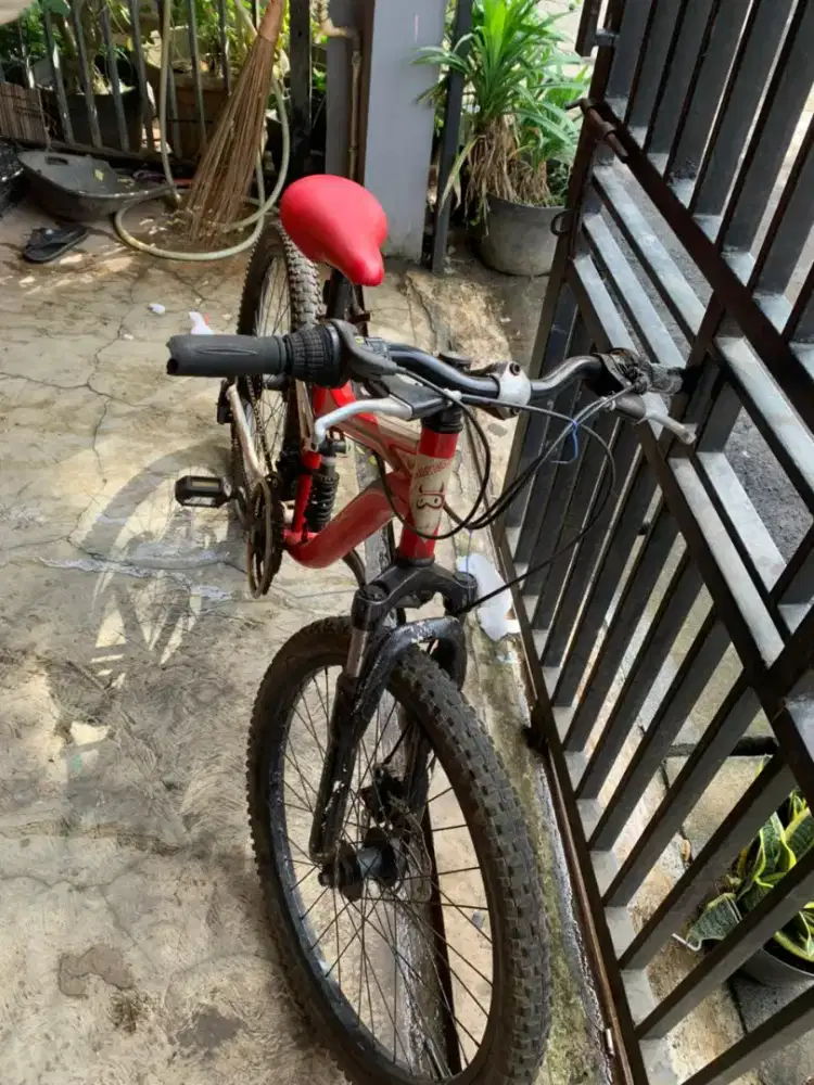 MTB WIMCYCLE MAXXIS DX 24inchi