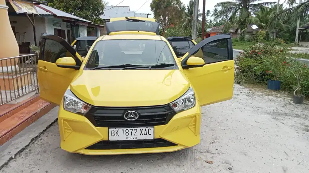 Ayla tpy.X.thn 2023..1,00cc