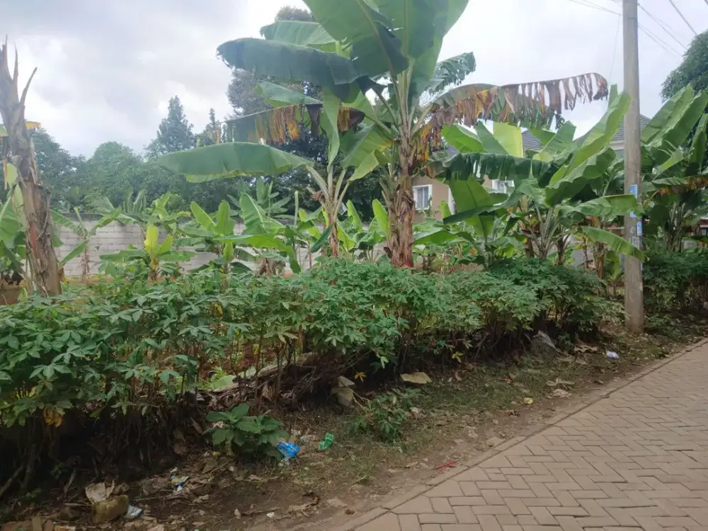 Dijual Murah Tanah Kavling Dekat STasiun Rawa Buntu Cicilan 12x Tanpa Bunga