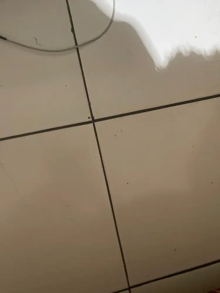 Bagus keren ga byesel