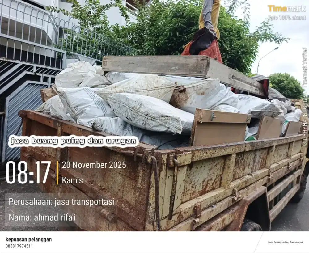 JASA BUANG PUING DAN PENGURUGAN