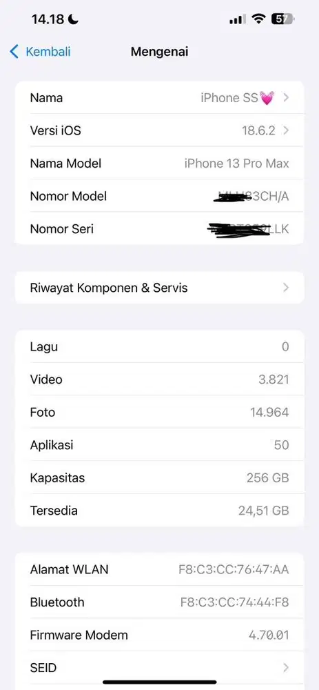 JUAL IPHONE 13 PROMAX 256gb Beacukai pemakaian pribadi