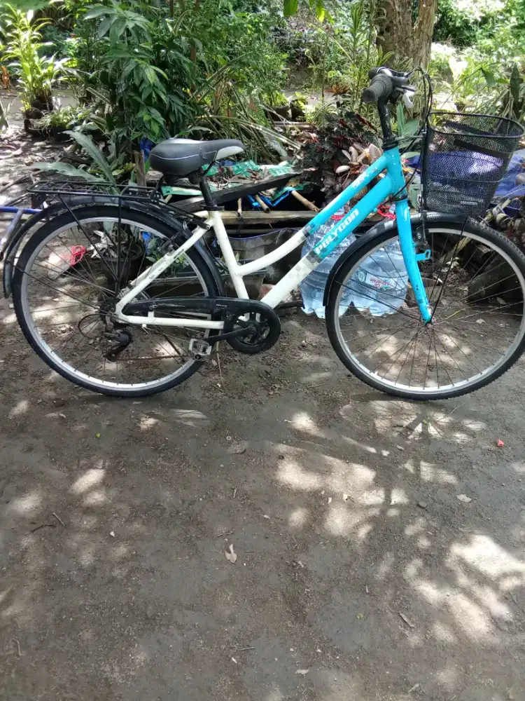 City bike poligon 26