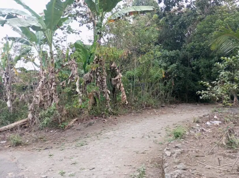 Tanah Besi Jangkang 3jt per meter