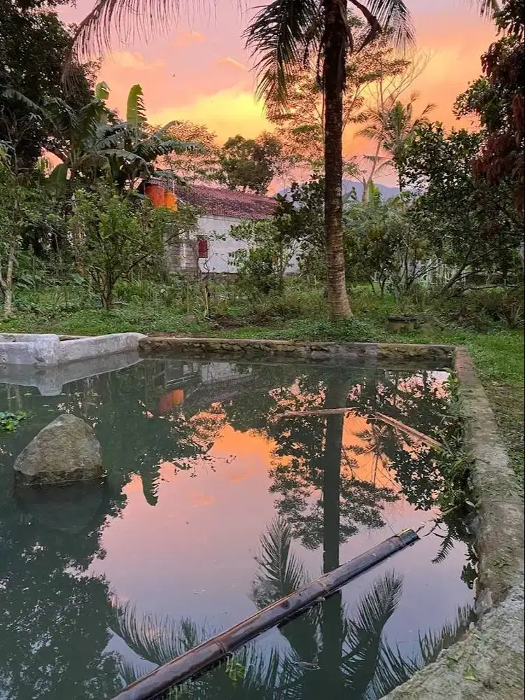 Dijual Tanah Daerah Ciawi Kab.Bogor