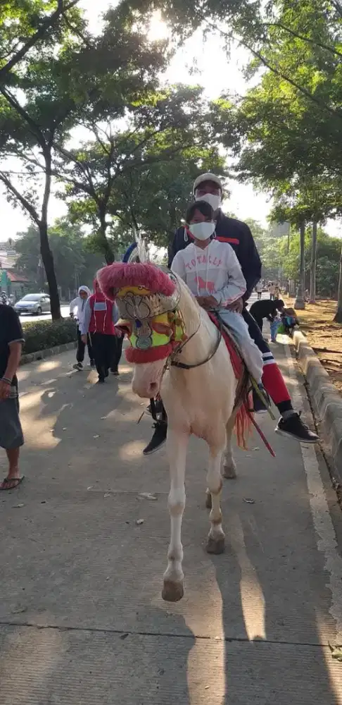Bismillah semoga ada jodoh nya di sini