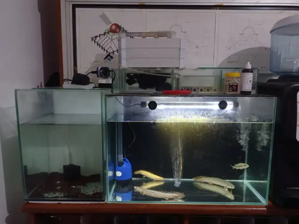 Aquarium Bekas Siap pake + instrumen nya