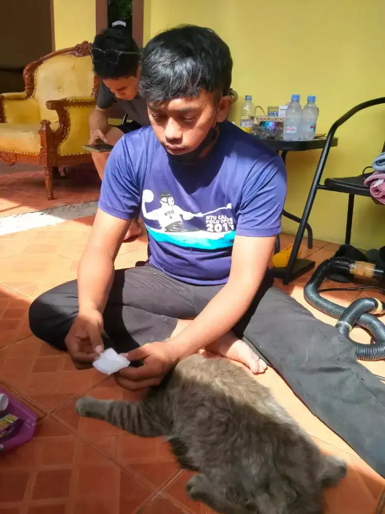 GROMING PANGGILAN MURAH