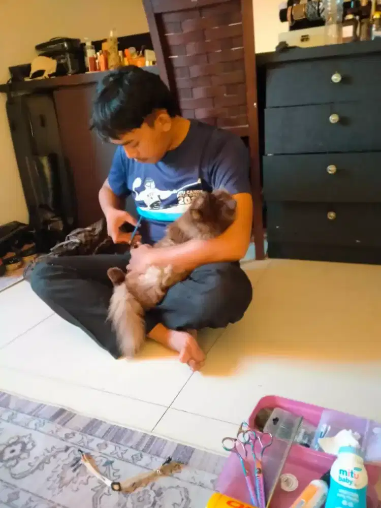 GROMING PANGGILAN MURAH