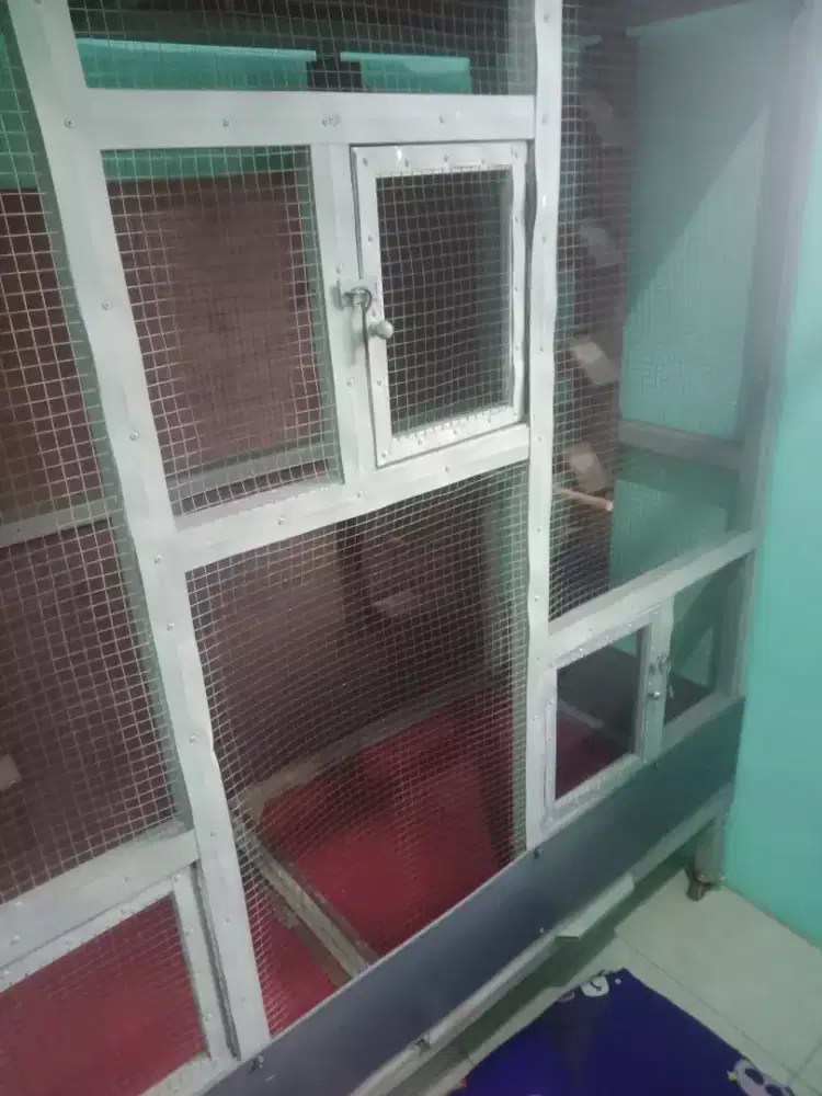 Jual sangkar ukuran besar cocok buat ternak kan burung apa pun