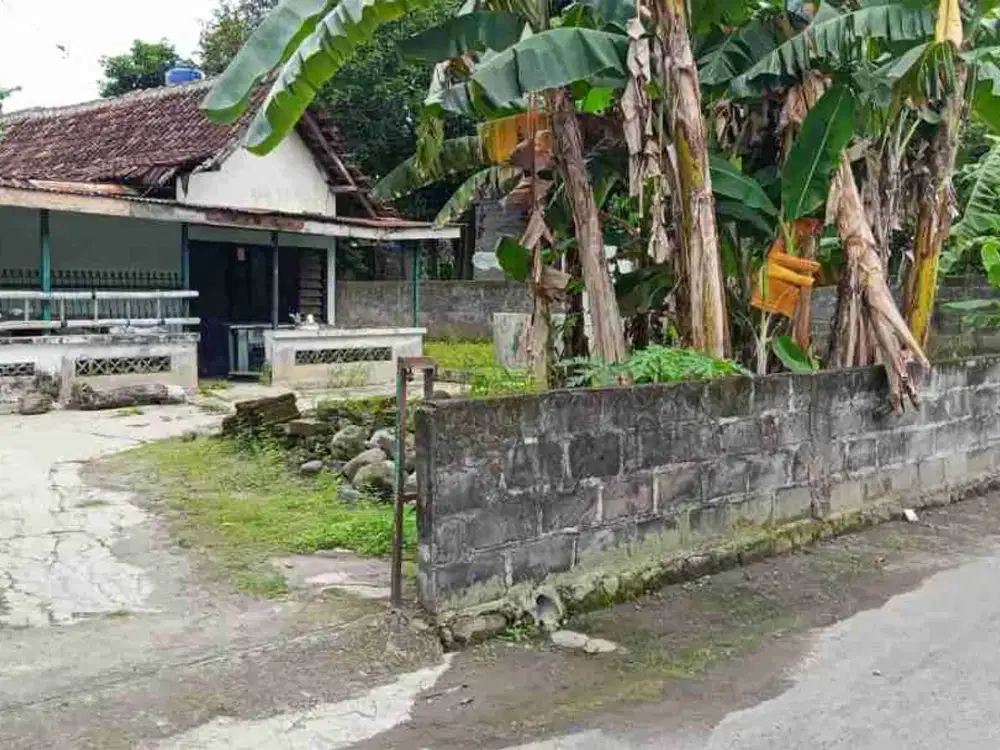 Jual Pekarangan Utara Jalan Jogja Solo Cupuwatu Purwomartani