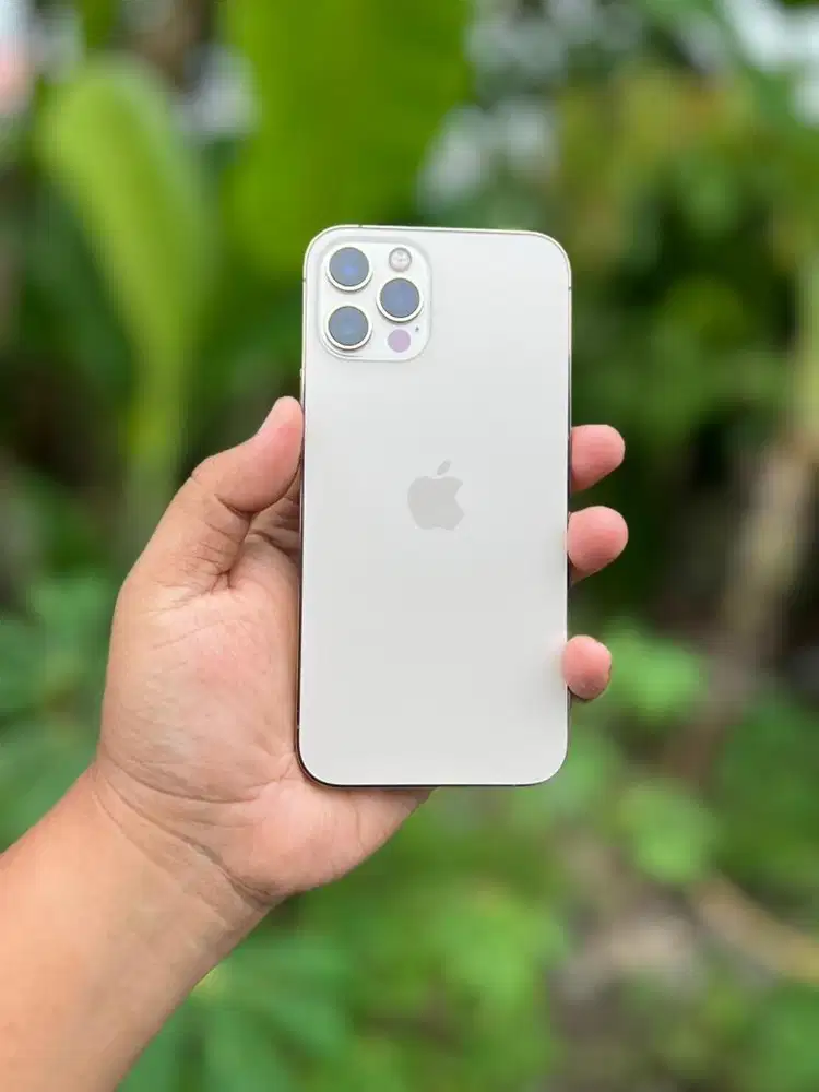 iPhone 12 Pro 256gb Inter All Operator