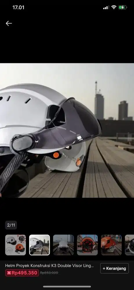 Helm safet with visor