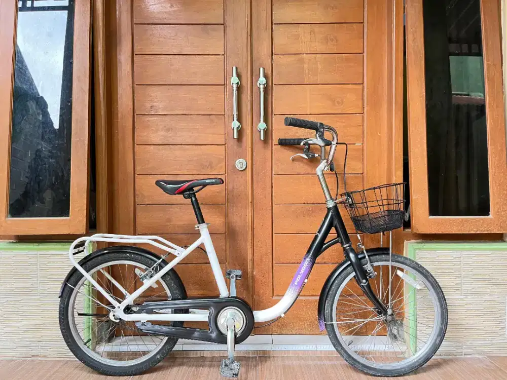 Polygon coastal 20 sepeda minion alloy